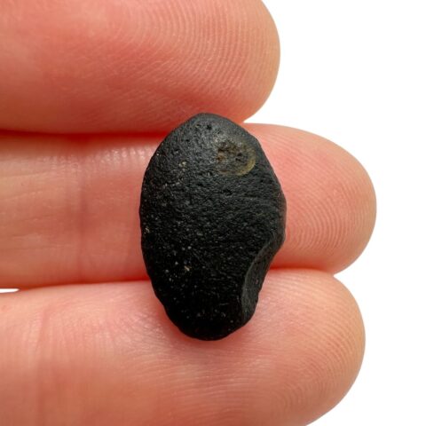 Australit “knoflík” 0,7g – Kalgoorlie, Západní Austrálie