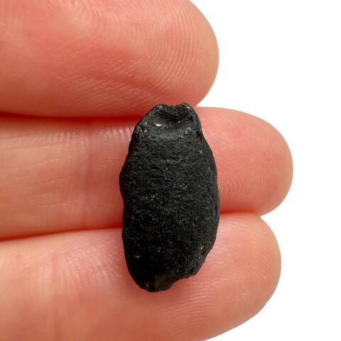 Australit “knoflík” 0,9g – Kalgoorlie, Západní Austrálie