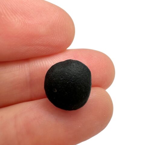Australit “knoflík” 0,8g – Kalgoorlie, Západní Austrálie