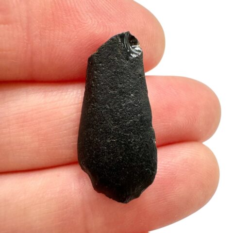 Australit “knoflík” 1,7g – Kalgoorlie, Západní Austrálie