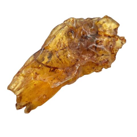 Hmyz v mladém jantaru (kopálu) 530g – Kolumbie