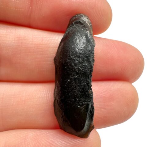Australit “knoflík” 2,1g – Kalgoorlie, Západní Austrálie