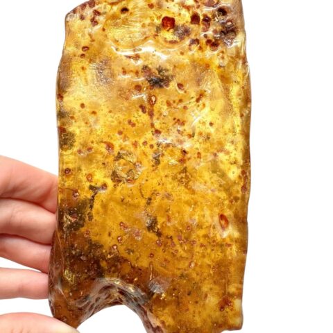 Hmyz v mladém jantaru (kopálu) 234,7g – Kolumbie