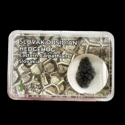 Slovenský obsidián – ježek 1g – v krabičce