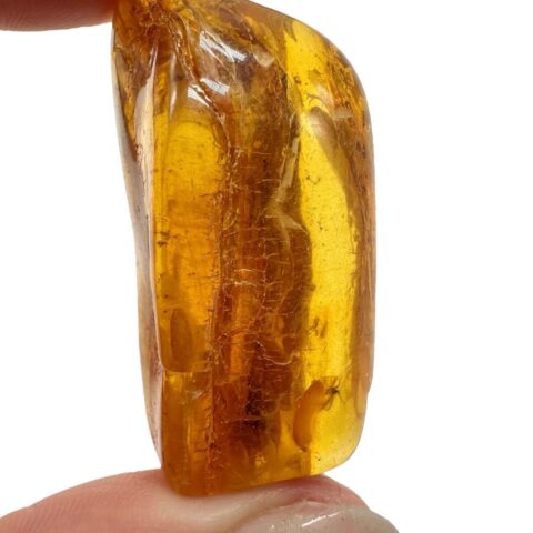 Hmyz v jantaru – Litva – 11,4g