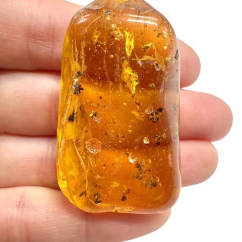 Jantar 12,2g – Litva