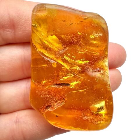 Jantar 13,7g – Litva
