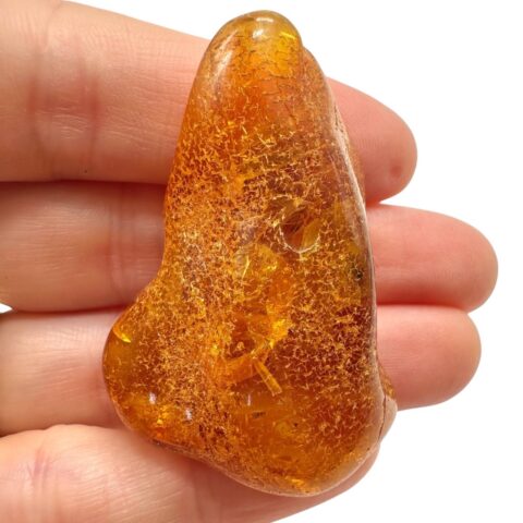 Jantar 10g – Litva