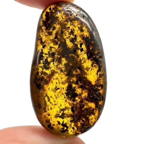 Jantar 11,1g – Litva