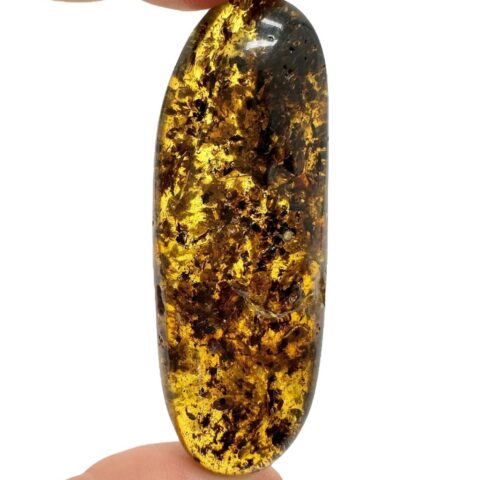 Jantar 13,3g – Litva