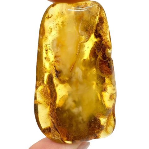 Jantar 15,8g – Litva