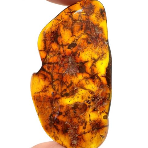 Jantar 11,3g – Litva
