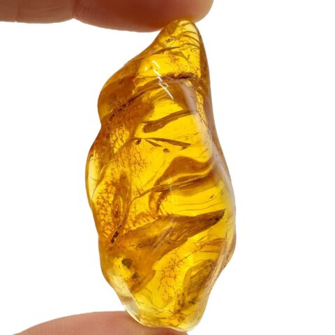 Jantar 9,8g – Litva