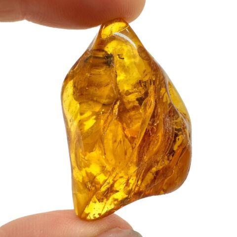 Jantar 10g – Litva
