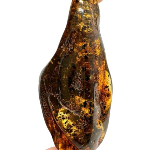 Jantar 21g – Litva