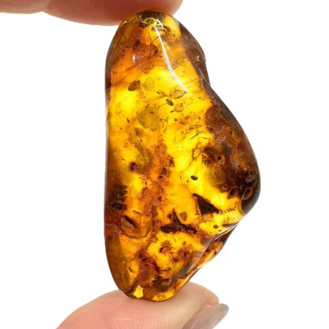 Jantar 9,6g – Litva