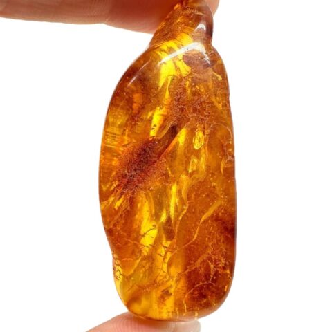 Jantar 9,6g – Litva