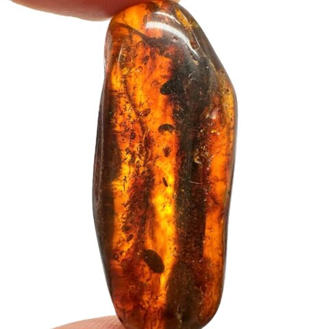 Jantar 5,8g – Litva