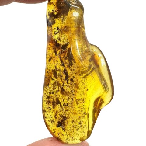 Jantar 10,8g – Litva