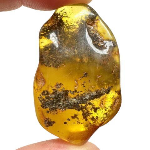Jantar 11,1g – Litva