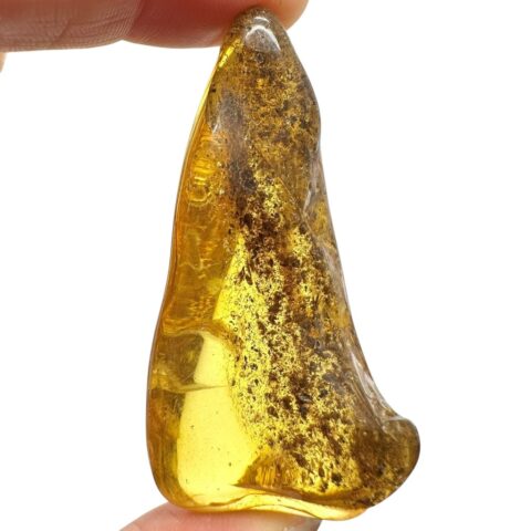 Jantar 10,6g – Litva