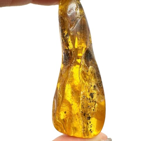 Jantar 10g – Litva