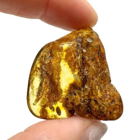 Jantar 6,9g – Litva