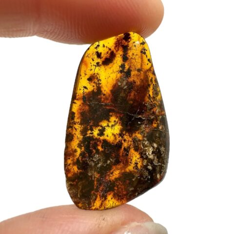 Jantar 1,9g – Litva