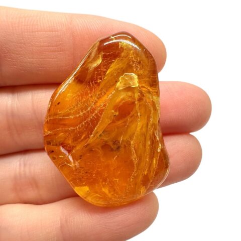 Jantar 6g – Litva