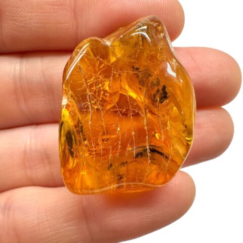 Jantar 5,1g – Litva