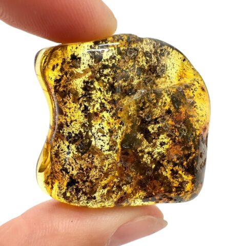 Jantar 9,6g – Litva