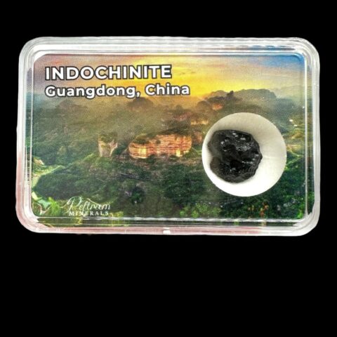 Indočínit v krabičce – Guangdong, Čína