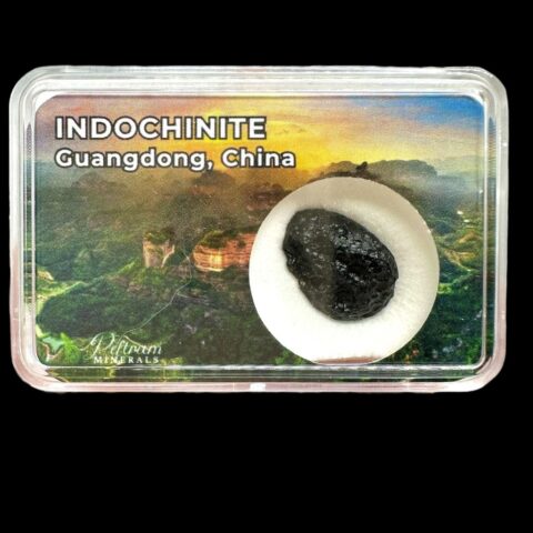 Indočínit v krabičce – Guangdong, Čína