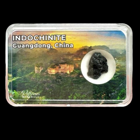 Indočínit v krabičce – Guangdong, Čína