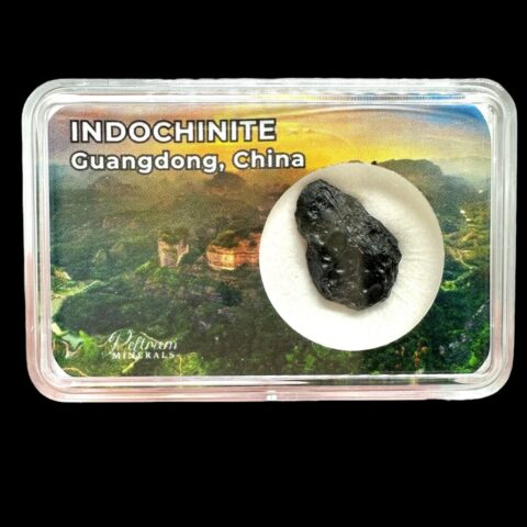 Indočínit v krabičce – Guangdong, Čína