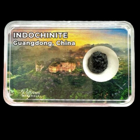 Indočínit v krabičce – Guangdong, Čína