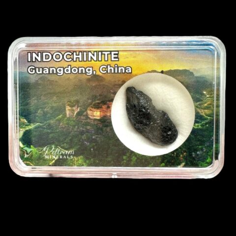 Indočínit v krabičce – Guangdong, Čína