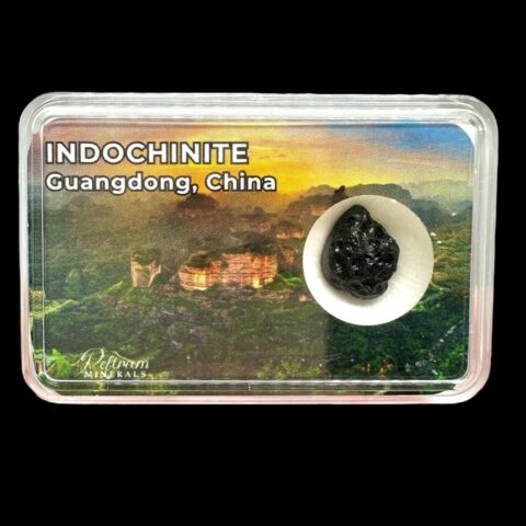 Indočínit v krabičce – Guangdong, Čína