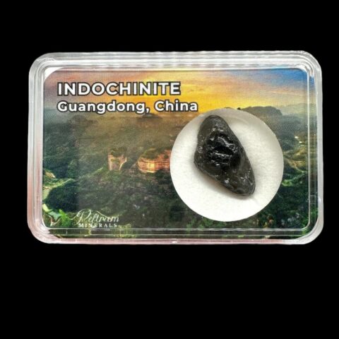 Indočínit v krabičce – Guangdong, Čína