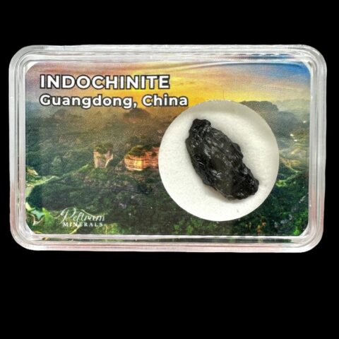 Indočínit v krabičce – Guangdong, Čína