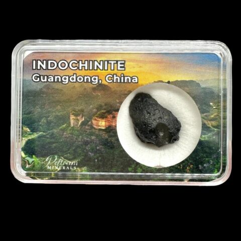 Indočínit v krabičce – Guangdong, Čína