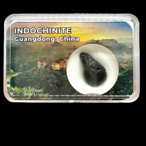 Indočínit v krabičce – Guangdong, Čína
