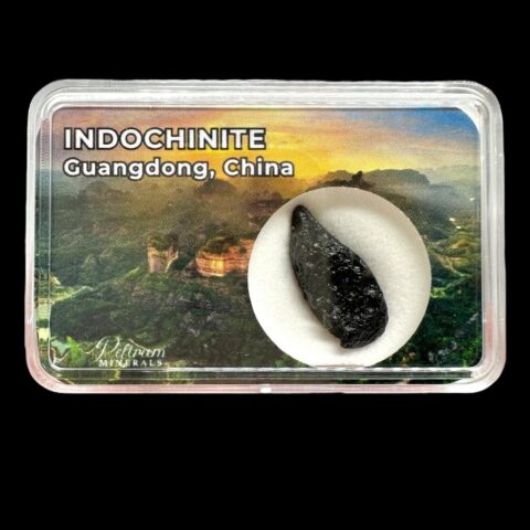 Indočínit v krabičce – Guangdong, Čína