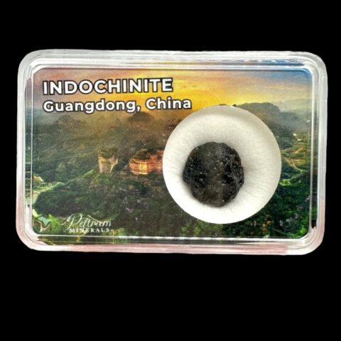 Indočínit v krabičce – Guangdong, Čína