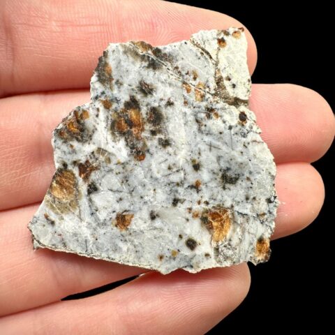 Meteorit Timimoun 003 – 7,1g – Alžírsko