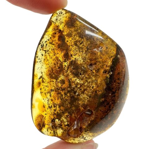 Jantar 13,6g – Litva