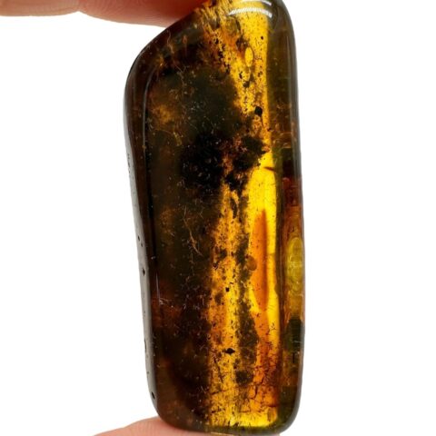 Jantar 10g – Litva