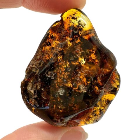 Jantar 11,2g – Litva