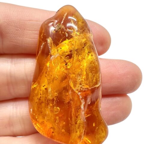 Jantar 6,7g – Litva