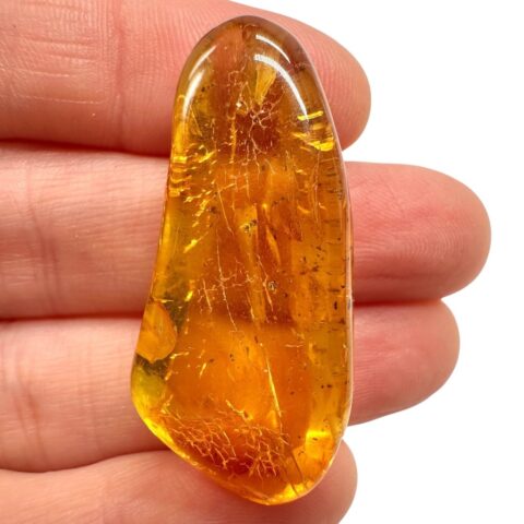 Jantar 3,9g – Litva